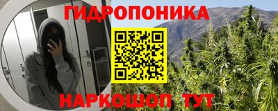 мяу мяу мука Балахна